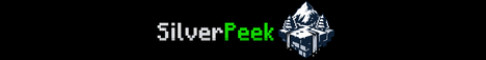 Обложка сервера SilverPeek